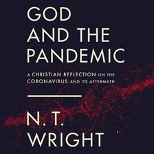 Cover image for God and the Pandemic