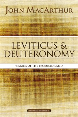 Cover image for Leviticus and Deuteronomy