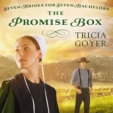 Cover image for The Promise Box