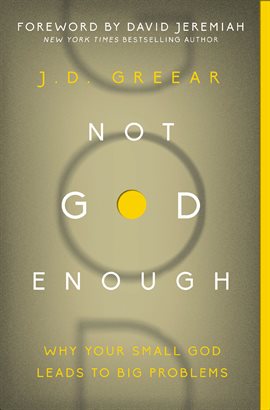 Cover image for Not God Enough