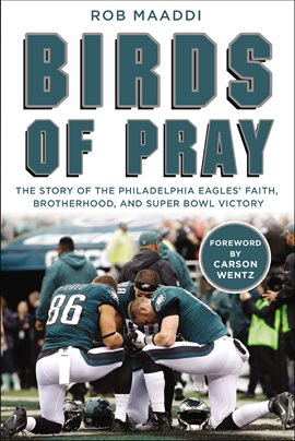 Cover image for Birds of Pray