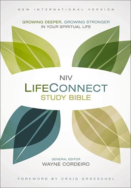 Cover image for NIV, LifeConnect Study Bible