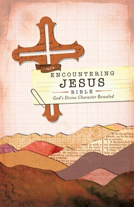 Cover image for NIV, Encountering Jesus Bible