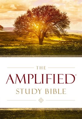 Cover image for The Amplified Study Bible