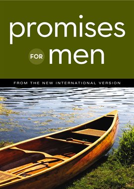 Cover image for NIV, Promises for Men