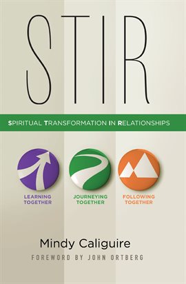 Cover image for STIR