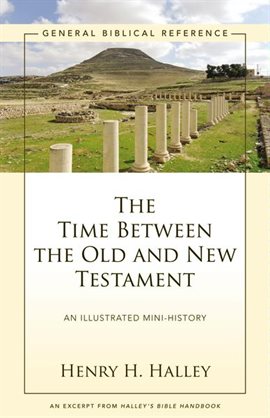 Cover image for The Time Between the Old and New Testament