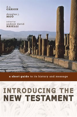 Cover image for Introducing the New Testament