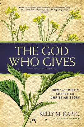Cover image for The God Who Gives