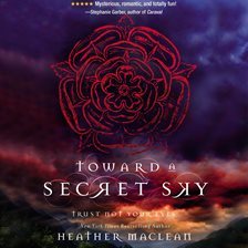 Cover image for Toward a Secret Sky