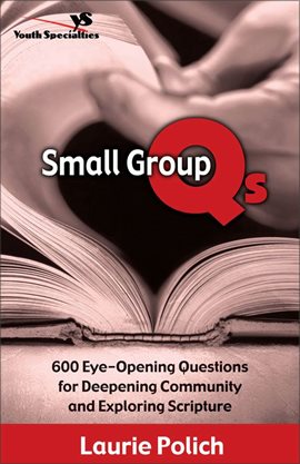 Cover image for Small Group Qs