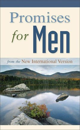 Cover image for Promises for Men