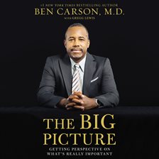 Cover image for Big Picture