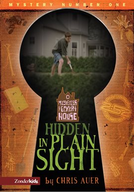 Cover image for Hidden in Plain Sight