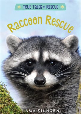 Cover image for Raccoon Rescue