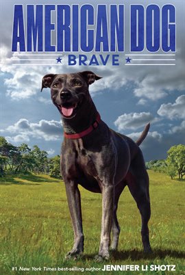 Cover image for Brave