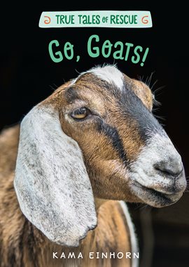 Cover image for Go, Goats!