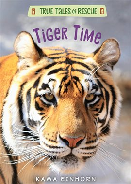 Cover image for Tiger Time
