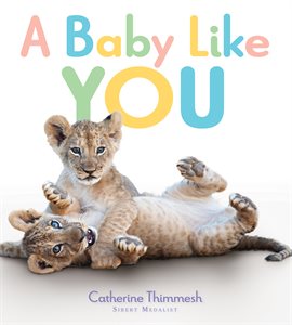 Cover image for A Baby Like You