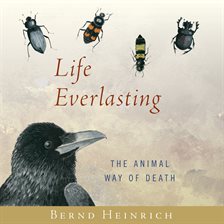 Cover image for Life Everlasting