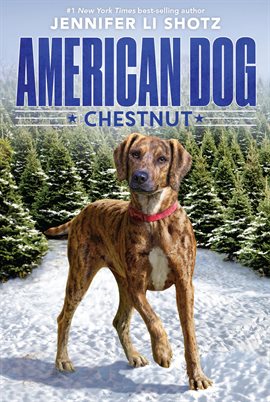 Cover image for Chestnut