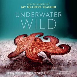 Cover image for The Underwater Wild