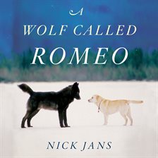 Cover image for A Wolf Called Romeo