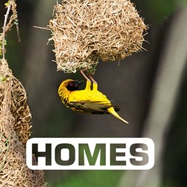 Cover image for Homes