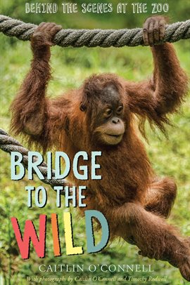 Cover image for Bridge to the Wild