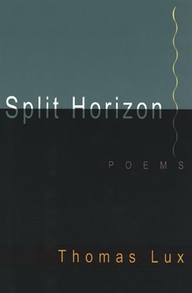 Cover image for Split Horizon
