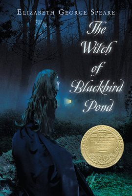 Cover image for The Witch of Blackbird Pond