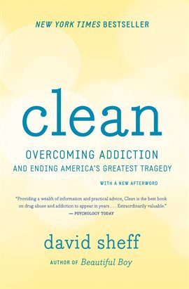 Cover image for Clean
