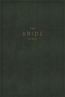 Cover image for NKJV, Abide Bible