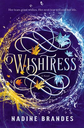 Cover image for Wishtress