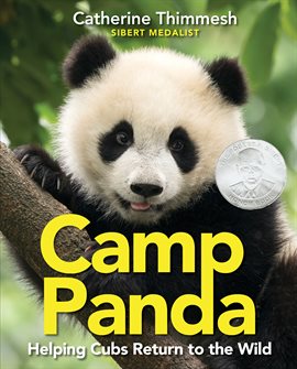 Cover image for Camp Panda