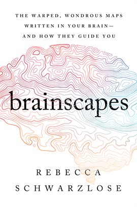 Cover image for Brainscapes