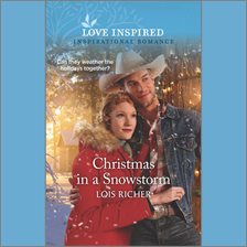 Cover image for Christmas in a Snowstorm