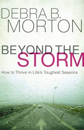 Cover image for Beyond the Storm