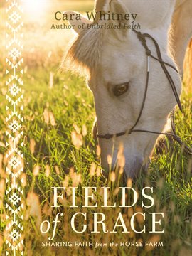 Cover image for Fields of Grace