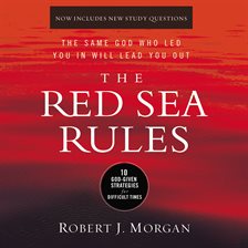 Cover image for The Red Sea Rules