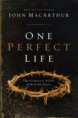 Cover image for One Perfect Life