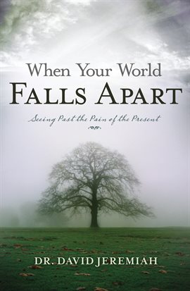 Cover image for When Your World Falls Apart