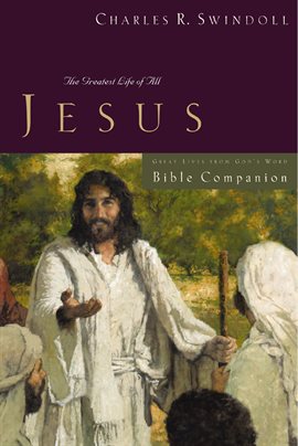 Cover image for Jesus Bible Companion