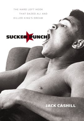 Cover image for Sucker Punch