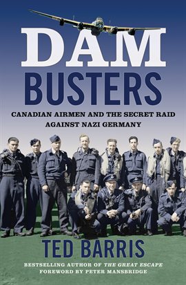 Cover image for Dam Busters