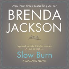 Cover image for Slow Burn