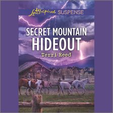 Cover image for Secret Mountain Hideout