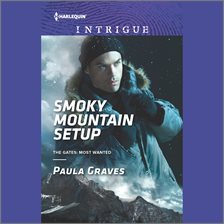 Cover image for Smoky Mountain Setup