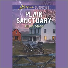 Cover image for Plain Sanctuary
