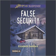 Cover image for False Security